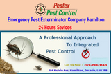 Profile Photos of Pestex Pest Control