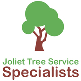 Joliet Tree Service Specialists, Joliet