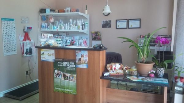  Profile Photos of Fisher Mills Animal Hospital 165 Fisher Mills Road - Photo 2 of 4