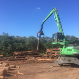 Profile Photos of LRB Tree Services