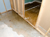 Profile Photos of Flood & Water Removal Service Long Island