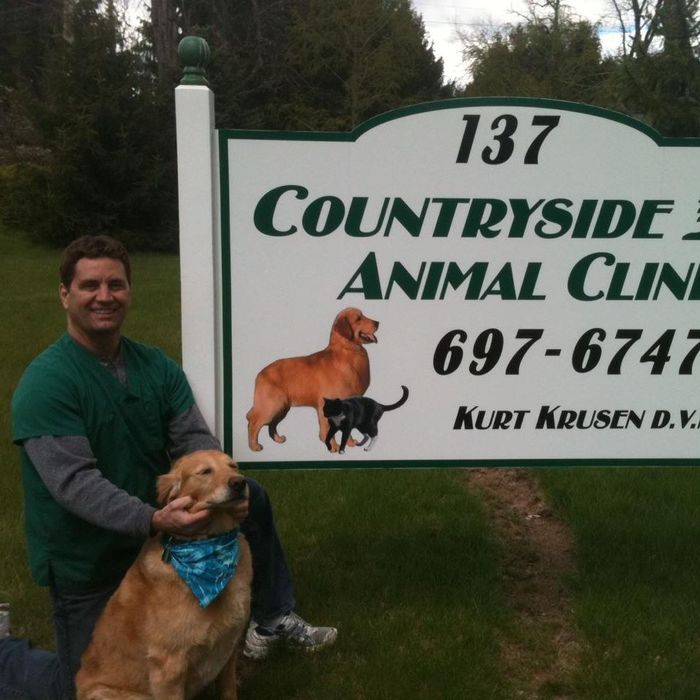  New Album of Countryside Animal Clinic - Kurt Krusen DVM 137 S Lewisberry Rd - Photo 4 of 5