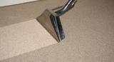 Profile Photos of Carpet Cleaning Brighton