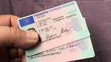 New Album of Buy Real Drivers License from EUROPE TRADITIONS