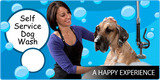 Dog Wash Happy Bays Car & Dog Wash 4634 16 AVE NW 