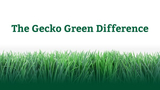 Profile Photos of Gecko Green