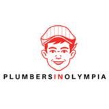  https://plumbersinolympia.com/ 1213 Boulevard Rd SE 