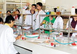 A and E college is best pharmacy college in Samastipur Bihar, Mohiuddinnagar Samastipur