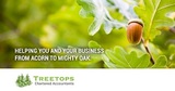 New Album of Treetops Chartered Accountants