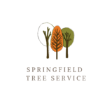 Springfield Tree Service Pros, Springfield