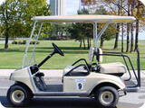 Profile Photos of Put-in-Bay Golf Carts