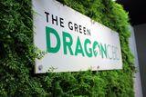 The Green Dragon CBD of The Green Dragon CBD