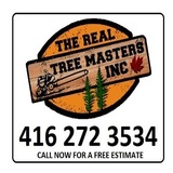 New Album of The Real Tree Masters Inc.