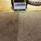 New Album of Aquarinse Carpet Cleaning Edinburgh
