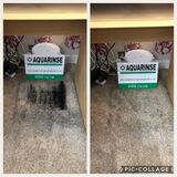 New Album of Aquarinse Carpet Cleaning Edinburgh
