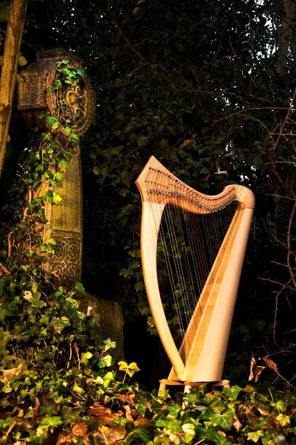 Profile Photos of Harpists for Funerals Eaton Avenue - Photo 3 of 5