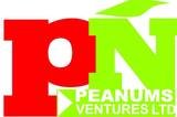 Peanums Ventures ltd, Lagos