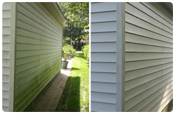  Profile Photos of Tidewater Property Pressure Washing Serving - Photo 4 of 7