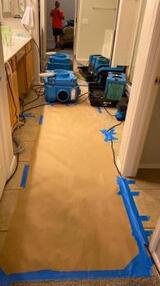 Profile Photos of Avondale Water Damage Services