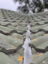 Profile Photos of Fern Roofing Solutions