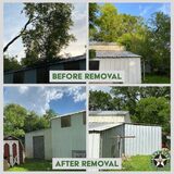 Tree Services Houston, Houston Tree services, Tree Houston, Emergency Services, Recurring Maintenance, Tree Removal, Stump Removal, Tree Pruning