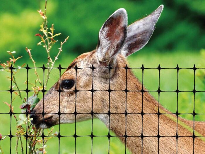  Profile Photos of Deer Fence USA 20 Crestview Dr - Photo 1 of 1