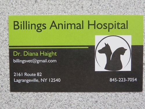  Profile Photos of Billings Animal Hospital 2161 New York 82 - Photo 4 of 4