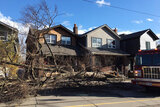 Emergency Tree Removal Services Five Star Tree Services 156 Duncan Rd 