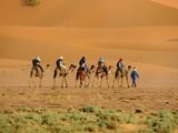 adrar travel/ camel riding