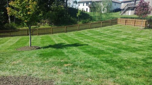  Profile Photos of Quality Cut Lawn Care LLC 600 Hillsdale Rd. Suite 104 - Photo 3 of 4