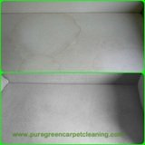 Profile Photos of PureGreen Carpet & Upholstery Cleaning