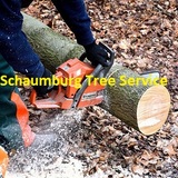 Schaumburg Tree Service, Schaumburg