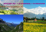 Profile Photos of Shimla Manali tour package - Visit for the best Travel and Tour Packag