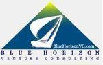  Blue Horizon Venture Consulting 32 Pepper Creek Dr 