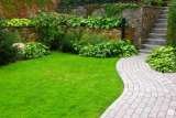 Profile Photos of Topia Landscaping
