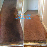 Profile Photos of Louisville Carpet Cleaning & Flood Restoration