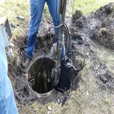The Woodlands Premier Septic Tank Pumping Company, Spring