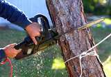 Tree Lopping Services Melbourne at Green Kings Landscaping, Green Kings Landscaping, Tarneit