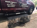  Smart Solutions Wildlife Removal 1050 Northfield Court, Suite 345 