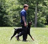 Profile Photos of RCM Dog Training