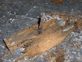  JPM Independent Damp And Timber Surveyors victoria crescent 