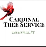  Cardinal Tree Service Louisville 2858 Frankfort Ave 
