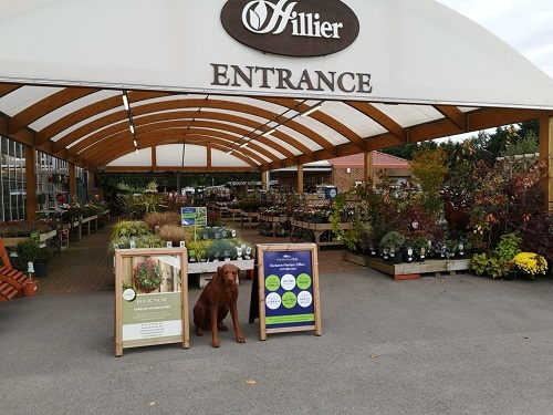  Profile Photos of Hillier Garden Centre Chichester Main Rd - Photo 2 of 4