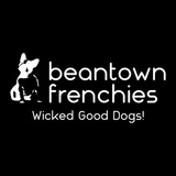 Beantown Frenchies 256 Beacon Street 