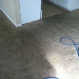 Profile Photos of All-Star Carpet Cleaning