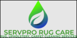  Pro Rug Cleaning Scarsdale 2900 Westchester Avenue 
