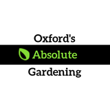 Gardeners Oxford Oxford's Absolute Gardening Cambridge Terrace 