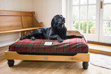Profile Photos of Berkeley Dog Beds Limited
