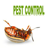 Profile Photos of Best Bountiful Pest Control