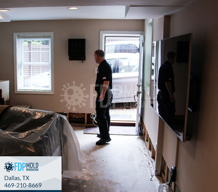  New Album of FDP Mold Remediation 2611 Ross Ave - Photo 2 of 6